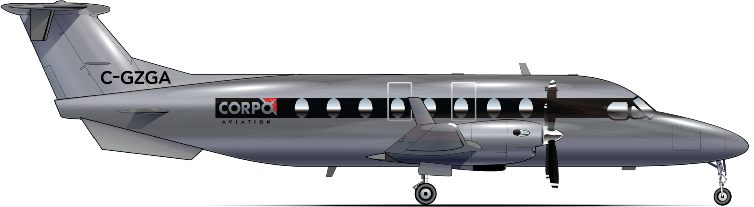 Beechcraft 1900D - Image